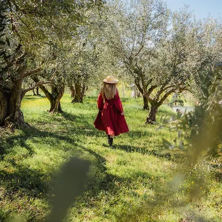Relais Benedek Wine & - Adults Only Alojamento de Turismo Rural *